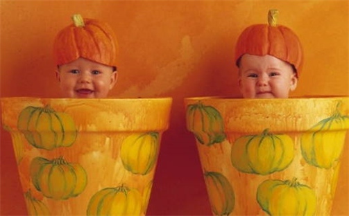 毛姓诗意唯美的女生名字